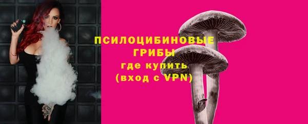 ПСИЛОЦИБИНОВЫЕ ГРИБЫ Нефтегорск
