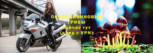 ПСИЛОЦИБИНОВЫЕ ГРИБЫ Нефтегорск
