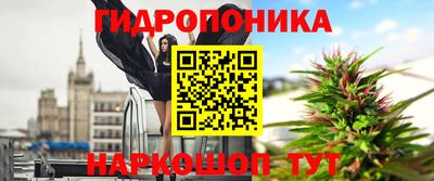 сатива Абакан