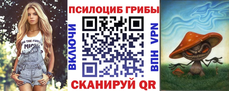 blacksprut маркетплейс  Апрелевка  Псилоцибиновые грибы Psilocybe 
