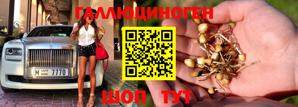 Галлюциногенные грибы MAGIC MUSHROOMS Апрелевка